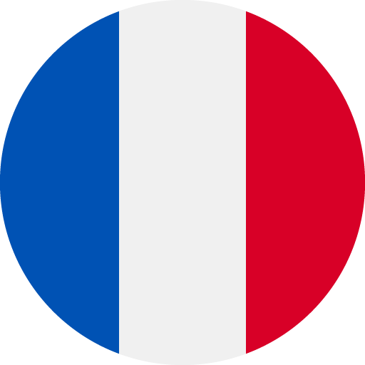 Icono-cambiar idioma