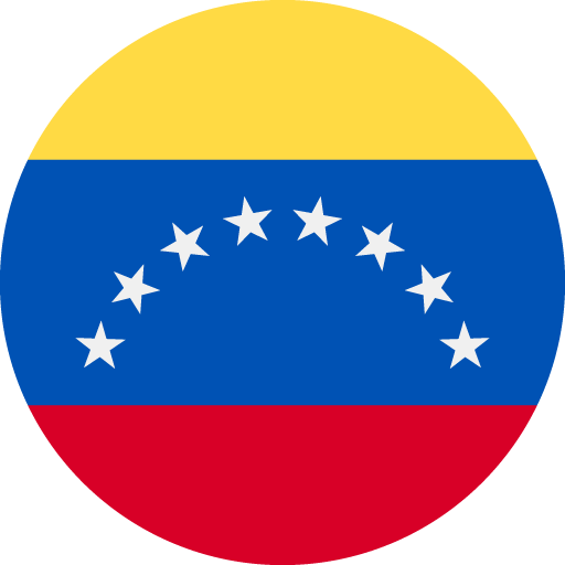 Icono-cambiar idioma